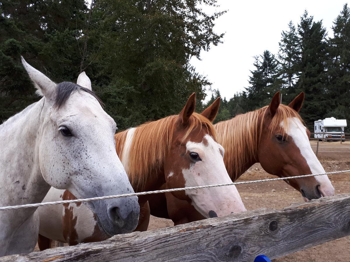 Paradise Acres Ranch Nanoose Bay Luaran gambar