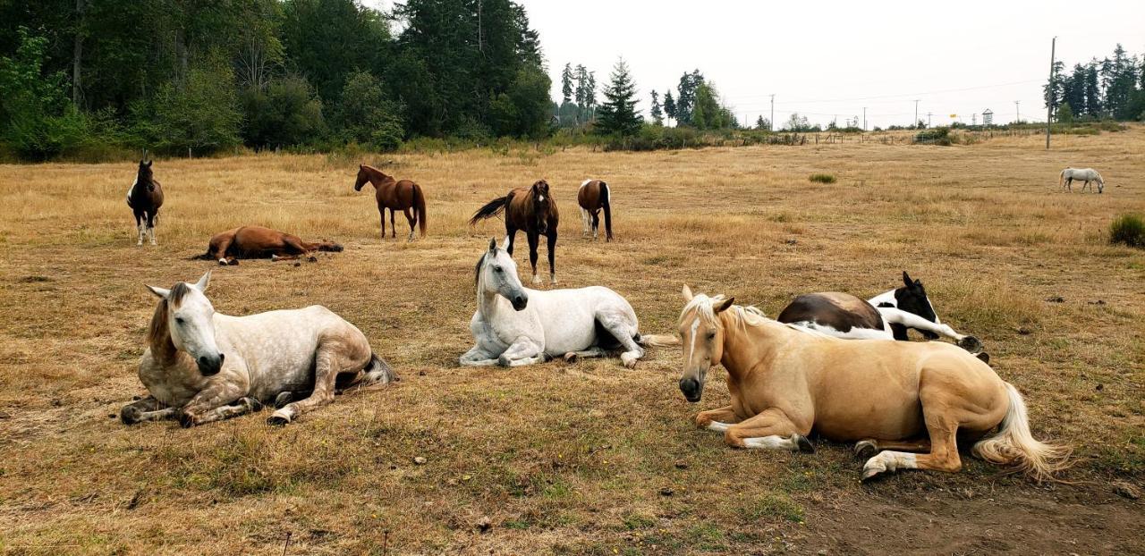 Paradise Acres Ranch Nanoose Bay Luaran gambar