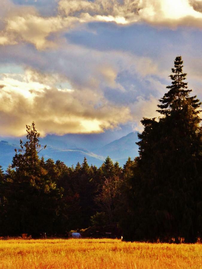 Paradise Acres Ranch Nanoose Bay Luaran gambar