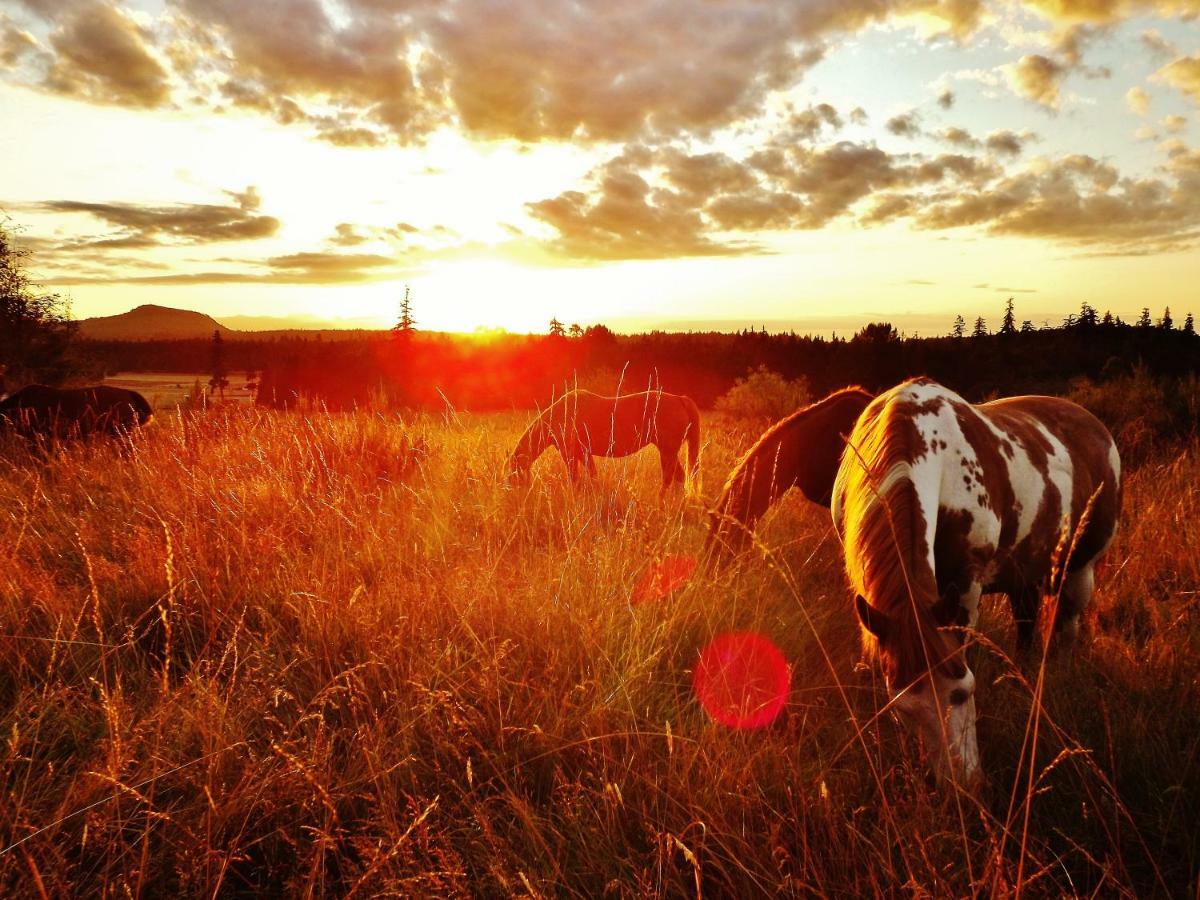 Paradise Acres Ranch Nanoose Bay Luaran gambar